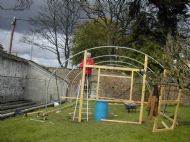 Polytunnel 14
